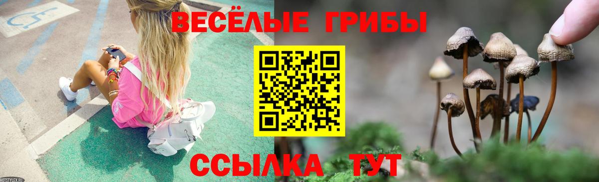Псилоцибиновые грибы MAGIC MUSHROOMS  Вход с VPN  Псилоцибиновые грибы Magic Shrooms  Нижний Тагил 